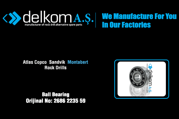 Hidromotor Şaftı Uç Rulmanı